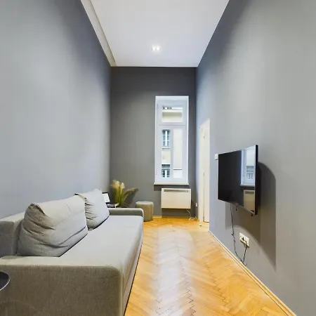 Gray Stylish Central Apartment Budapest Extérieur photo
